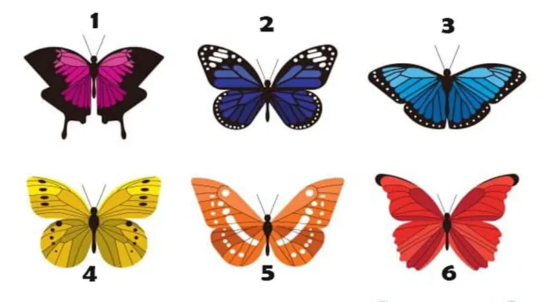 TEST: Elige una mariposa y descubre lo que esconde tu forma de ser